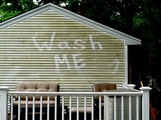 House siding covered in green algae with the words Wash Me written in it by hand